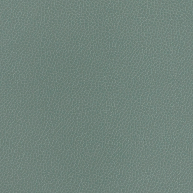 Silica Leather, Chambray