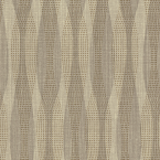 Current No FR, Seashell