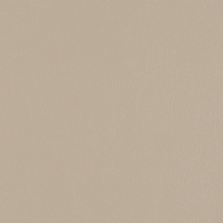 Silicone Element, Fossil
