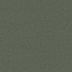 Tweedy Twill, Jungle