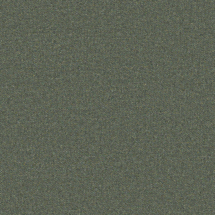 Tweedy Twill, Jungle