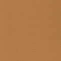 Sierra, Camel