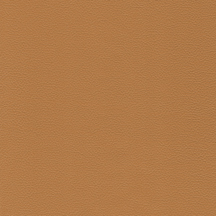 Sierra, Camel