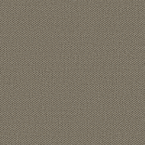 Facet, Fossil