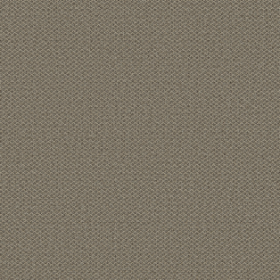 Facet, Fossil