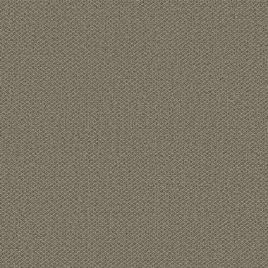 Facet, Fossil