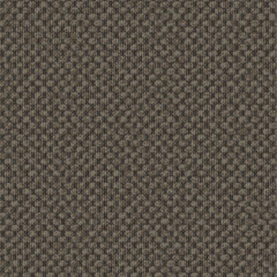 Cadence 2.0, Muddled