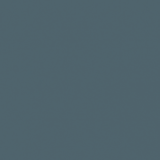 Artisanal EPU, Navy