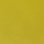 Canter EPU, Kiwi Green