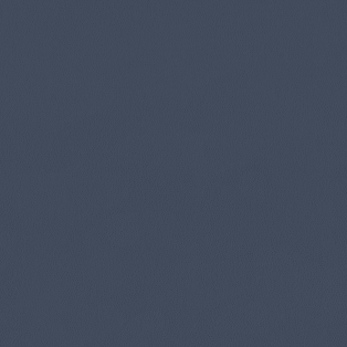 Carson CV, Indigo