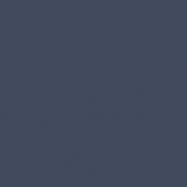 Carson CV, Indigo