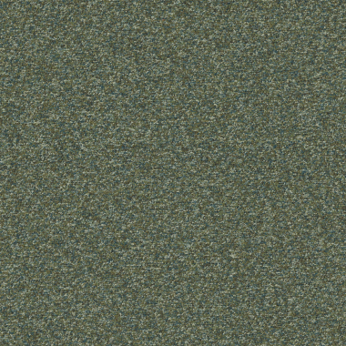 Colorloop, Moss