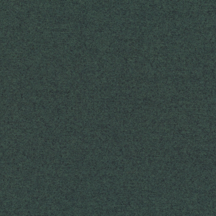 Feltro, Spruce