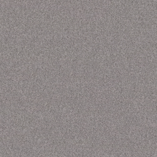 Feltro, Steel
