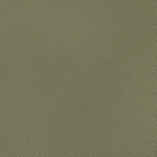 Silica Leather, Eucalyptus