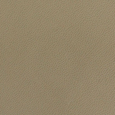 Silica Leather, Lichen