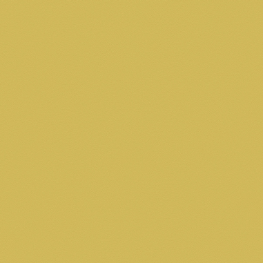 Silica Suede, Anjou