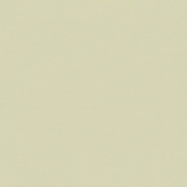 Silica Suede, Whelk