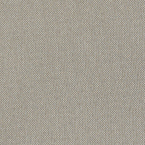 Tribeca CV, Mica