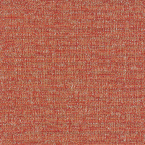Motion, Paprika