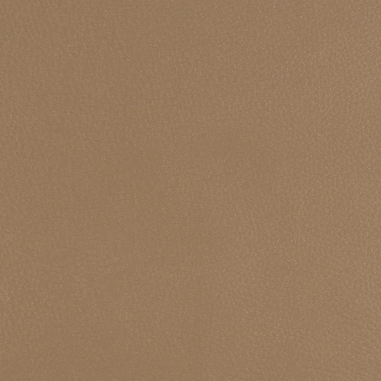 Sili-Tex Leather, Hazel