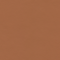 Concept Pro, Apricot Ice