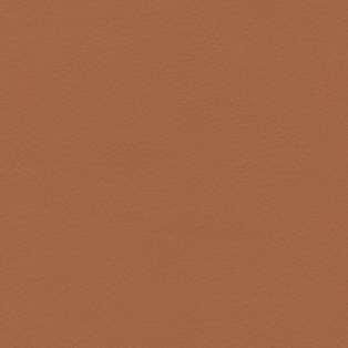Concept Pro, Apricot Ice