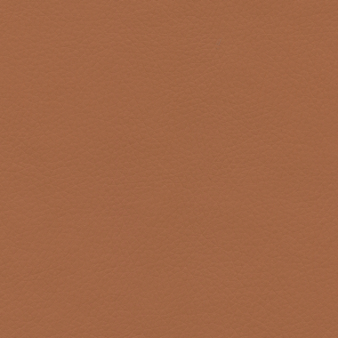 Concept Pro, Apricot Ice