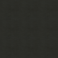 Concept Pro, Black Eel