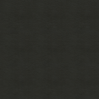 Concept Pro, Black Eel