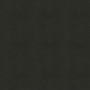 Concept Pro, Black Eel