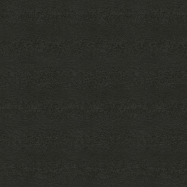 Concept Pro, Black Eel