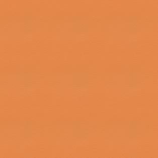 Concept Pro, Camouflage