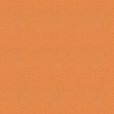 Concept Pro, Camouflage