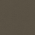 Concept Pro, Lentil