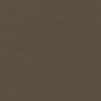 Concept Pro, Lentil