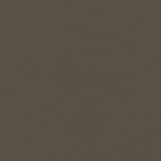 Concept Pro, Lentil