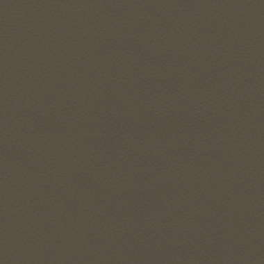 Concept Pro, Lentil