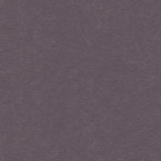 Ellora, English Violet
