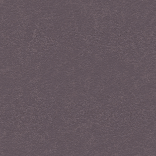 Ellora, English Violet