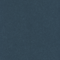 Ellora, Navy Blazer