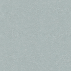 Ellora, Silver Charm