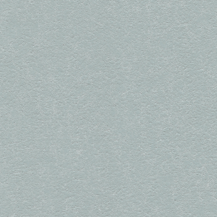 Ellora, Silver Charm