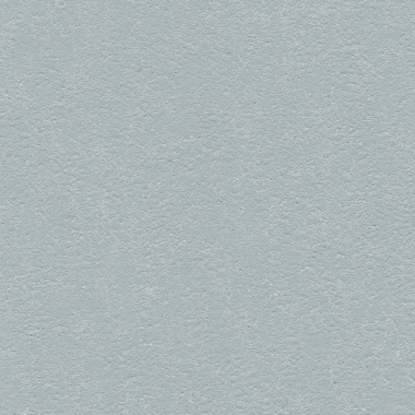 Ellora, Silver Charm