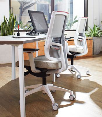 ergonomic office chair